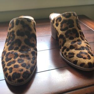 Leopard slip in shoes
